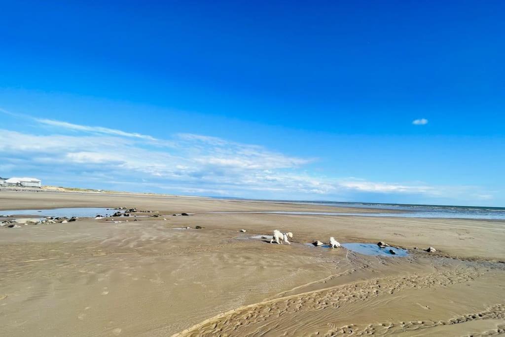 2 Bedroom Holiday Home In The Heart Of West Wales Сент-Клирс Экстерьер фото